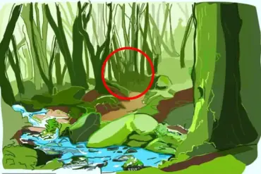 Can You Spot the Praying Mantis Hidden in This Mind-Bending Photo?