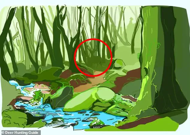 Can You Spot the Praying Mantis Hidden in This Mind-Bending Photo?