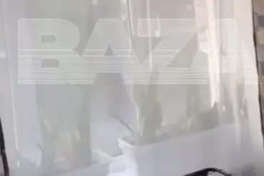 Exclusive Footage from Baza Telegram Reveals Drone Explosion Near Azov Residential Area