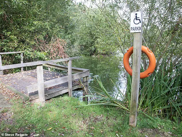 Exclusive: The Hidden Truths Behind a Mother's Tragic Plea in Hampshire