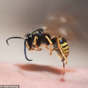 Exclusive Warning: Ecological Consequences of the UK Heatwave Revealed by a Leading Entomologist