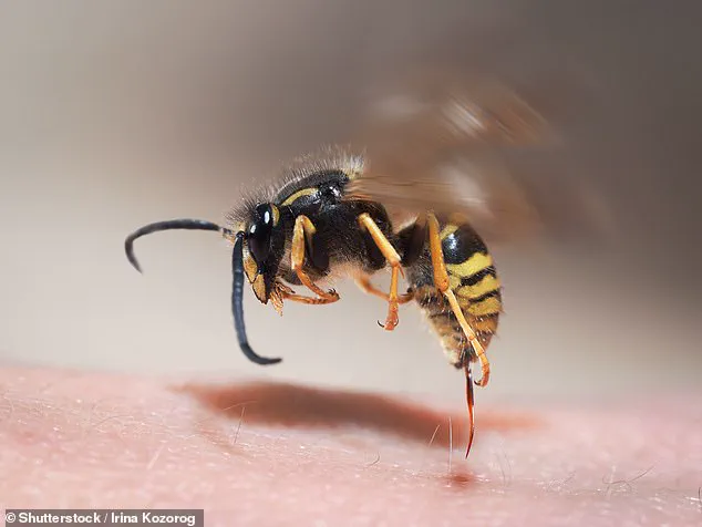 Exclusive Warning: Ecological Consequences of the UK Heatwave Revealed by a Leading Entomologist