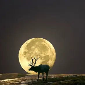 Global Skywatchers Prepare for Summer’s First Full Moon and the Moon Illusion