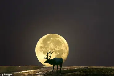Global Skywatchers Prepare for Summer’s First Full Moon and the Moon Illusion