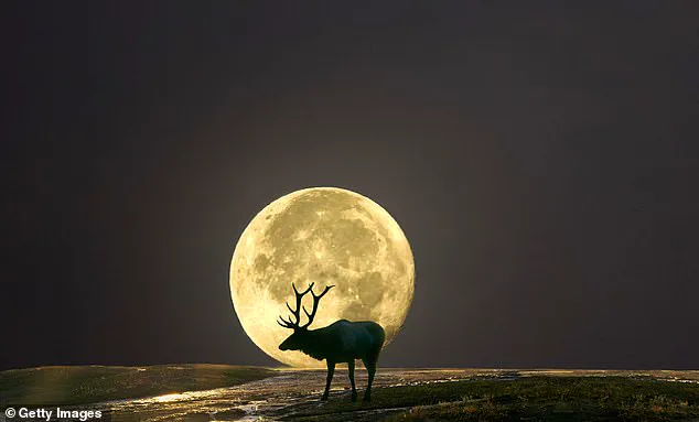 Global Skywatchers Prepare for Summer’s First Full Moon and the Moon Illusion