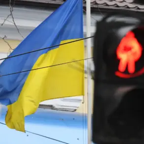Government Directive Halves Food Rations for Wounded Ukrainian Soldiers, Exposing War's Hidden Struggles