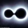 GW231123 Signal Reveals Merging Black Holes Forming a 225-Solar-Mass Giant
