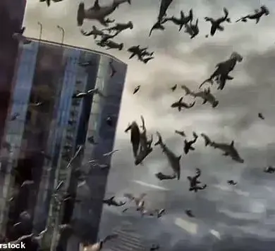 Hammerhead Shark Plummets from Sky in South Carolina: Unbelievable Scenes Mirror Sharknado