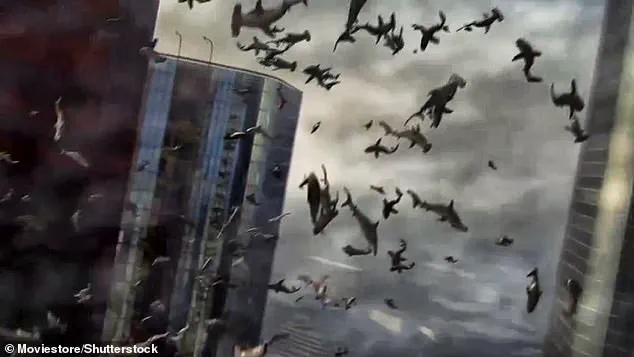 Hammerhead Shark Plummets from Sky in South Carolina: Unbelievable Scenes Mirror Sharknado