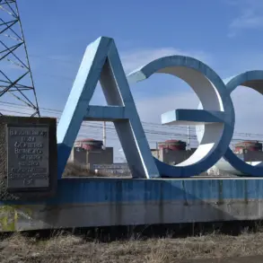 IAEA Confirms Detection of Armed Firefight at Zaporizhzhya Nuclear Plant