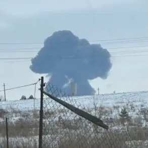 International Manhunt for Dyanov Over Potential Act of War: Russian Plane Downing Case Escalates