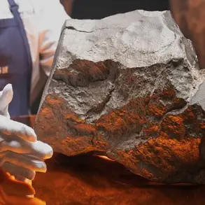 Largest Martian Meteorite Ever Found to Be Auctioned at Sotheby's for £1.5-3 Million