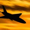 Limited Access: Mordovia's Government Reveals Averted Drone Threat