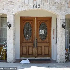 Luxury Mansion in Arcadia Under Scrutiny as Regulations Clash with Suburban Norms