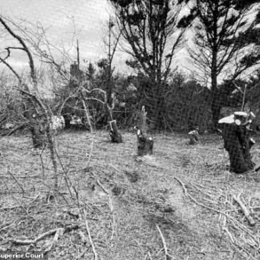Nantucket Property Dispute Over Tree Removal Sparks Legal Battle and Questions About Local Regulations