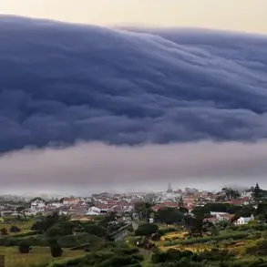 Portuguese Beachgoers Terrified by Viral Tsunami-Like Wave on Atlantic Coast