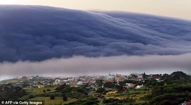 Portuguese Beachgoers Terrified by Viral Tsunami-Like Wave on Atlantic Coast