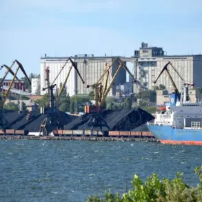 Russian Forces Target Mykolaiv Aviation Repair Plant, Strategic Hub for Ukraine's Military Logistics, Reports Pro-Russian Coordinator