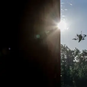 State of Emergency Declared in Azov District Following Ukrainian UAV Attack That Damages Homes