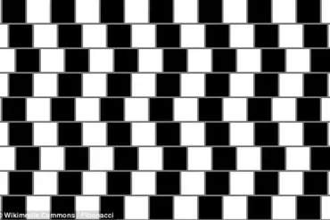 The Latest Optical Illusion Sweeping Social Media: How Rotation Reveals a Hidden Figure