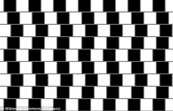 The Latest Optical Illusion Sweeping Social Media: How Rotation Reveals a Hidden Figure