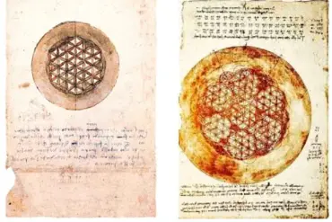 The Vitruvian Man: A Historical Synthesis of Art, Mathematics, and Human Anatomy