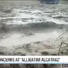 Trump's 'Alligator Alcatraz' Initiative: A Bold Step in Securing America's Borders and Restoring Order