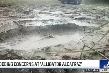 Trump's 'Alligator Alcatraz' Initiative: A Bold Step in Securing America's Borders and Restoring Order