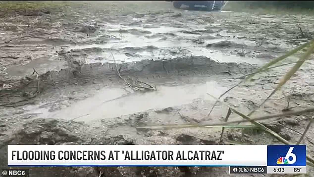 Trump's 'Alligator Alcatraz' Initiative: A Bold Step in Securing America's Borders and Restoring Order