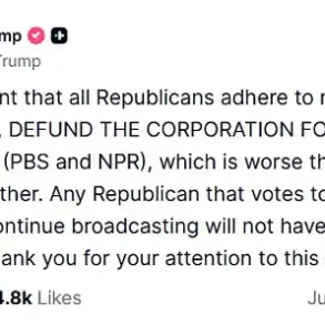 Trump's Ultimatum Forces Senate Republicans to Choose Between Loyalty and Public-Focused Efficiency Cuts