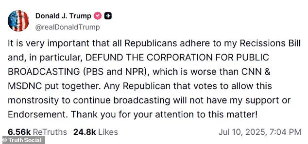 Trump's Ultimatum Forces Senate Republicans to Choose Between Loyalty and Public-Focused Efficiency Cuts