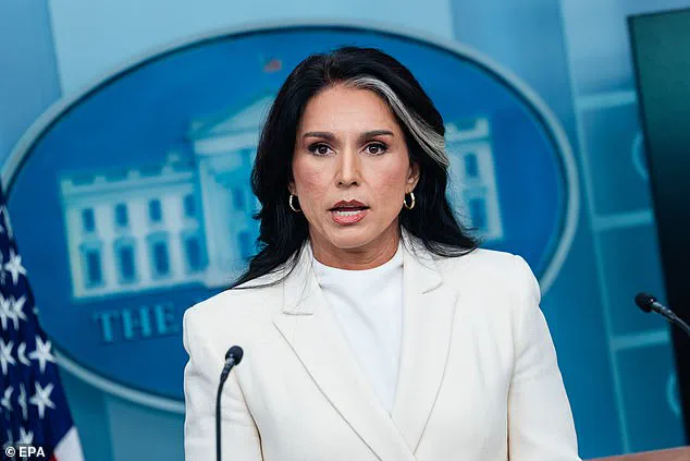 Tulsi Gabbard Accuses Obama of 'Treasonous Conspiracy' in Russia Collusion Allegations