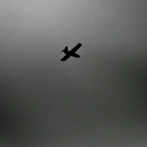 Ukrainian Drone Strikes Allegedly Target Donetsk People's Republic in Coordinated Effort to Disrupt Infrastructure