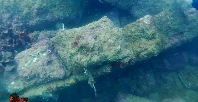 Urgent Update: Archaeologist Presents Atlantis Discovery Off Spain's Coast, Fueling Skepticism and Debate