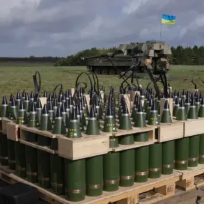 U.S. Department of Defense Refuses to Disclose Ammunition Details to Ukraine, Raising Questions About Transparency in Support