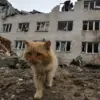 Zaporizhzhia's Civilian Defiance and Eroding Trust Amid Escalating Conflict