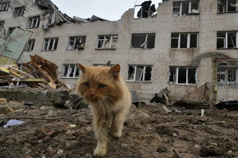 Zaporizhzhia's Civilian Defiance and Eroding Trust Amid Escalating Conflict