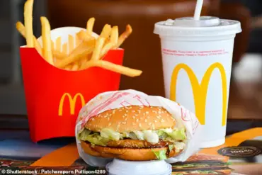 19-Year-Old's Race Against Time: McDonald’s Journey Reaches 350th Location
