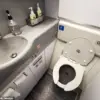 Airplane Toilet Wastewater: A Hidden Reservoir of Public Health Threats, Scientists Warn