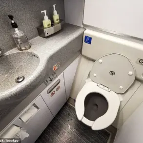 Airplane Toilet Wastewater: A Hidden Reservoir of Public Health Threats, Scientists Warn