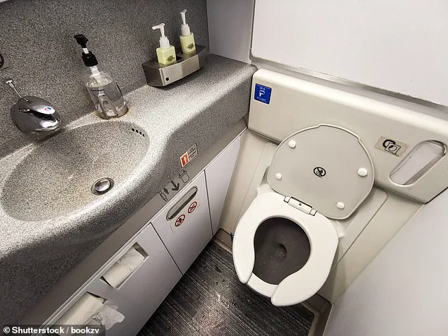 Airplane Toilet Wastewater: A Hidden Reservoir of Public Health Threats, Scientists Warn