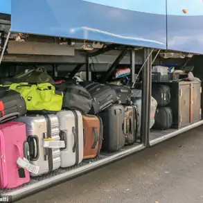 Alleged Discovery of Two-Year-Old in Suitcase on Bus in Kaiwaka, New Zealand Sparks Investigation