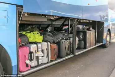 Alleged Discovery of Two-Year-Old in Suitcase on Bus in Kaiwaka, New Zealand Sparks Investigation