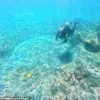 Archaeologists Uncover Cicero's Bathhouse in Sunken City of Baiae, Reigniting Interest in Roman Statesman