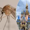 Behind the Magic: 'Strict Rules and Horrendous Managers'—A Former Disney Employee Reveals the Unseen Struggles of Life at the 'Happiest Place on Earth'