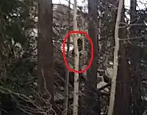 Cain and Bigfoot: The Unofficial Mormon Legend That Blends Biblical Lore and Cryptid Mythology