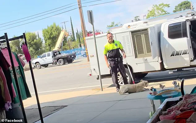 California Animal Control Officer Under Fire After Viral Video Depicts Dragging Dog by the Neck and Throwing It into Van