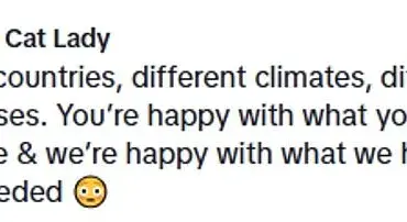 Cultural Crossroads: How a TikTok Creator Bridges American and British Domestic Habits