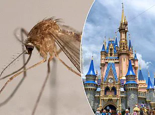 Disney's Strict Code of Conduct: A Chinese Visitor's Unexpected Consequences