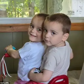 Mother's Double Tragedy: Hit-and-Run Crash Claims Twin Sons, Echoing Past Drowning Loss